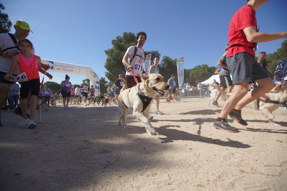 Regresa CaniCross Las Rozas, la carrera para perros y dueños