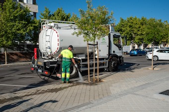 Boadilla trabaja este verano para mantener el arbolado jóven