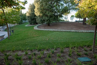 El Palacio de Boadilla más verde