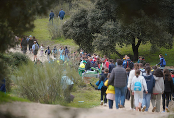 Gran plantación familiar en Las Rozas el próximo 19 de octubre